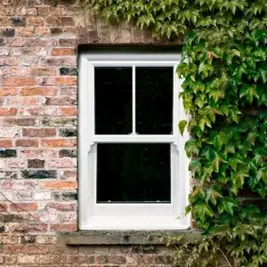 White two over two sliding sash window in an ivy-covered brick wall